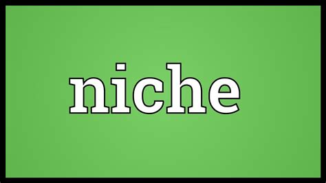 Niche Meaning Youtube