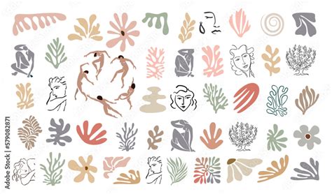 Set Of Abstract Organic Shapes Exotic Jungle Leaves Female Nude Silhouettes Algae Trendy