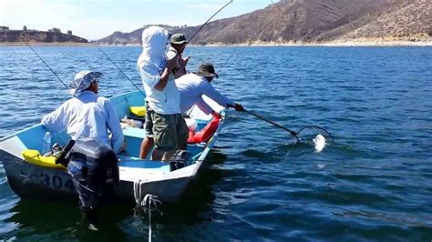 By jim taibi | july 4th, 2021 | categories: Castaic lake striper fishing 2013 - YouTube