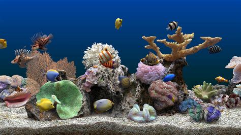 Living Marine Aquarium 3 Screensaver Asrpossignature