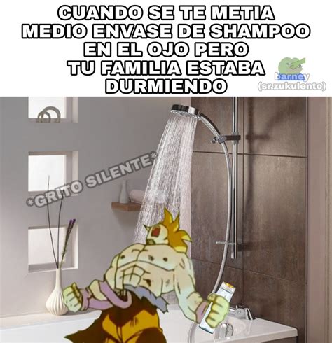 Shampoo Y La Concha De Tu Madre Meme Subido Por Srzukulento Memedroid