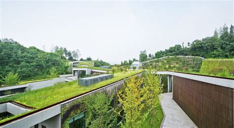 Green Roofs For Commercial Buildings Commercial Green Roof System