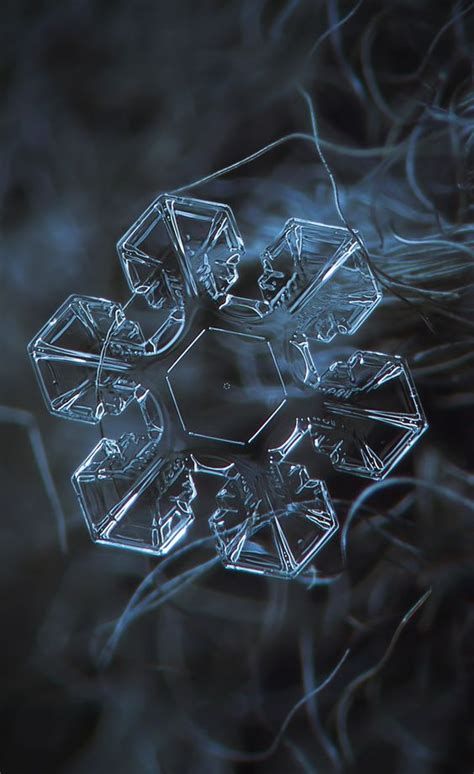 Pin By Hannah G On Nature Snow Crystal Snowflakes Real Macro