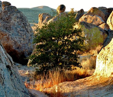 Balanced Rock City Of Rocks State Park Faywood New Mexico My