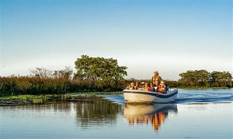 A Speed Boat With Tourists Crossing The Ibera Lagoon Ibera Wetlands
