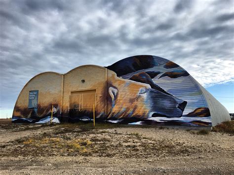 Amanda Woods on Twitter: "The "polar bear jail" in Churchill, Manitoba