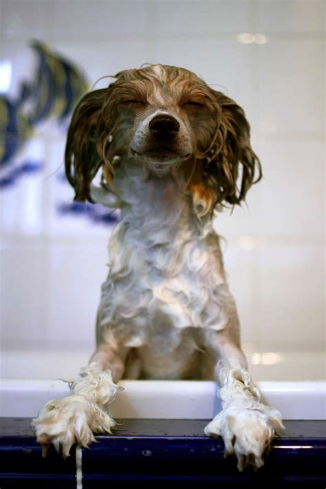 Here's why you hate the word 'moist'