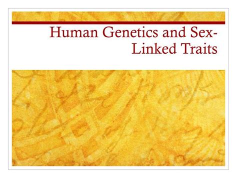 Ppt Human Genetics And Sex Linked Traits Powerpoint Presentation Free Download Id 3515821