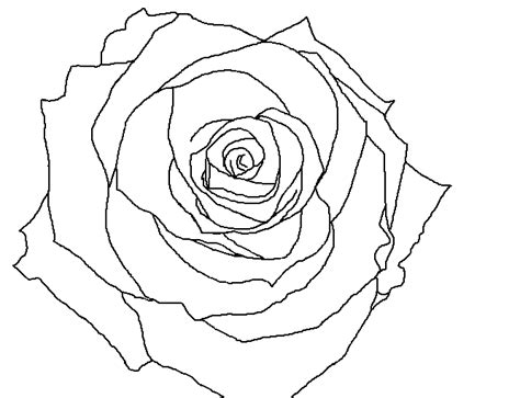 Are you looking for free rose tattoo templates? Pin on Alice in wonderland/mad hatters tea party