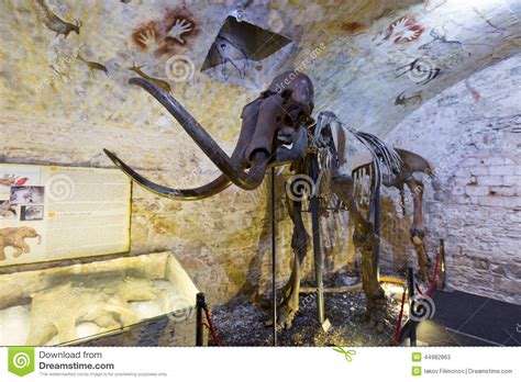 Gratis trener słownictwa, tabele odmian czasowników, wymowa. Mammutskelett Im Barcelona-Mammut-Museum Redaktionelles ...