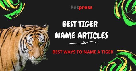 Best Tiger Names Male Female Names For A Tigers Petpress