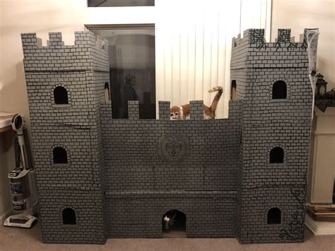 34 Cardboard Cat Castle Inspirasi Top