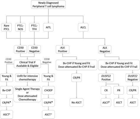 Treatment Algorithm For Newly Diagnosed Peripheral T Cell Lymphoma
