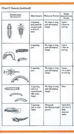 Quick Guide to Major Groups of Freshwater Invertebrates
