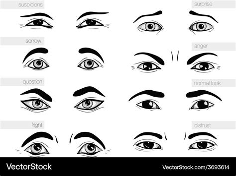 Description Of Human Emotions Eyes Royalty Free Vector Image