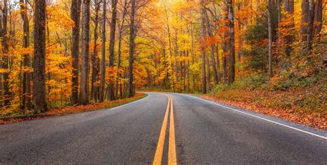 6 Scenic Smoky Mountain Fall Drives Near Wears Valley