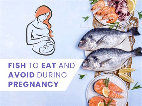 Types Of Fish To Not Eat During Pregnancy Unique Fish Photo