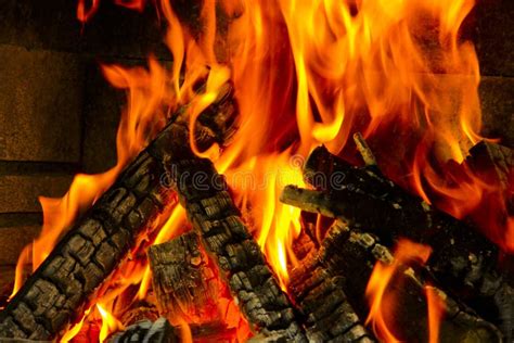 Burning Wood On Fire Stock Photo Image 24608910