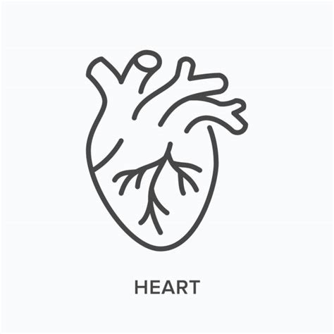 1400 Heart Disease Icon Stock Illustrations Royalty Free Vector