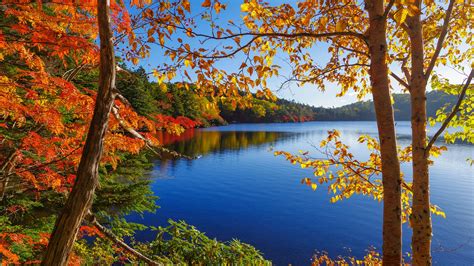 Wallpaper Autumn Lake Trees Forest Sky 1920x1440 Hd Picture Image