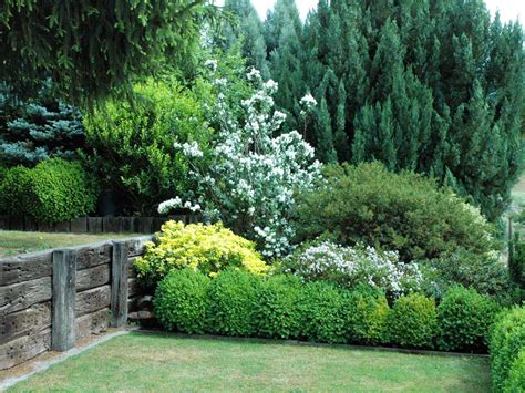 Great Idea For A Living Fence Garden Privacy Ideas Plants Privacy