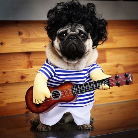 Funny Pet Dog Clothes Cosplay Take Guitar Dog Halloween Party Cute
