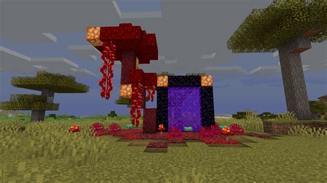 Had Just Finished And Screen Capped My Corrupted Nether Portal When