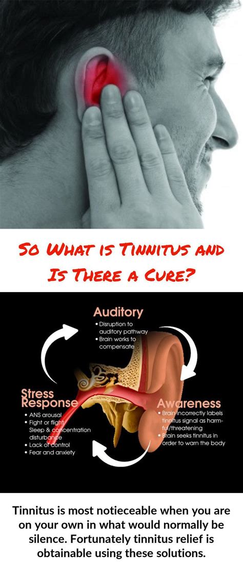 Tinnitus Is Most Notieceable When You Are Alone In What Should Be