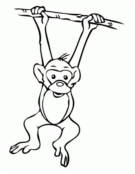 Get hold of these coloring sheets that are full of pictures and involve your kid in painting them. Realistic Monkey Coloring Pages at GetColorings.com | Free ...