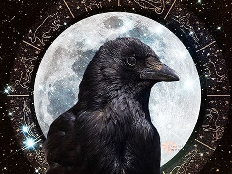 The Symbolism Of A Crow Its Mysterious Spiritual Meaning Crystal