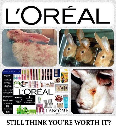 Loreal Animal Testing Stop Pinterest Animal Testing Animal