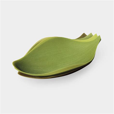 Seasons Nao Tamuras Silicone Leaf Plates Spoon And Tamago