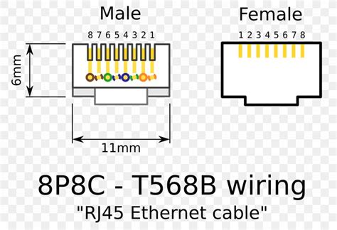 Cat 5 Network Cable Wiring Diagram Wiring Draw And Schematic