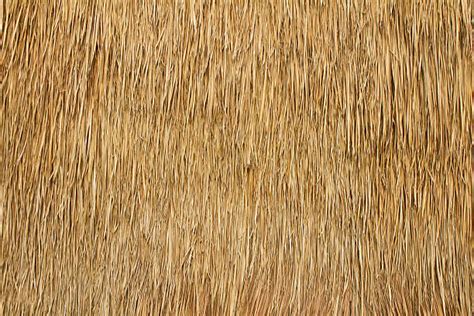 58700 Straw Texture Stock Photos Pictures And Royalty Free Images Istock
