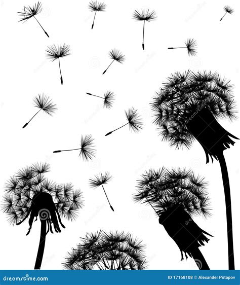 Dandelion Field Silhouette Stock Vector Illustration Of Growth 17168108