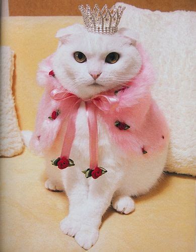 Princess Cats Pet Day Cat Costumes