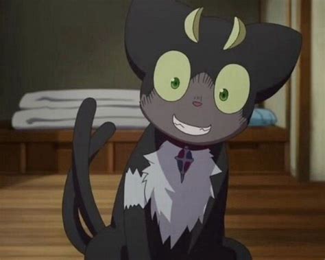 Rin's cat Kuro | Blue exorcist anime, Blue exorcist, Blue exorcist cosplay