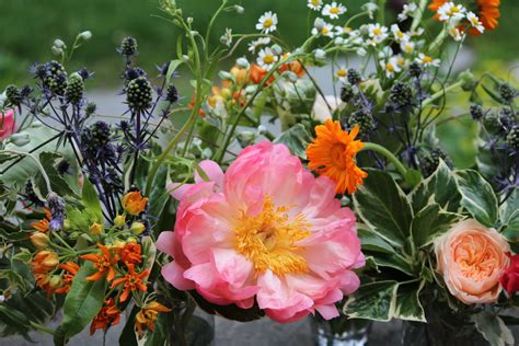 Garden flowers | Botanical gardens, Flower garden, Flowers