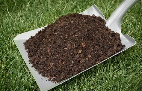 Is Cow Manure Compost Good For Vegetable Garden Arabic Blog