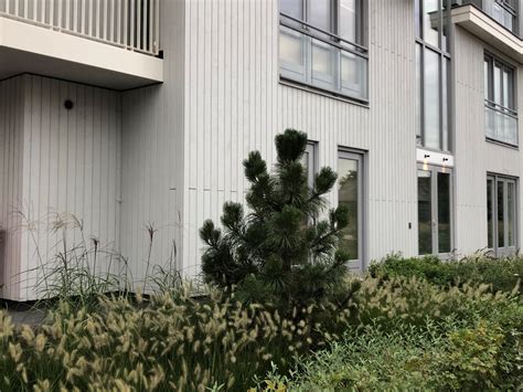 Woonzorgcomplex in Dorst - Crataegus woonzorg Cape Cod channel siding