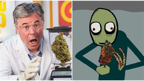 the 15 best youtube videos to watch when you re stoned
