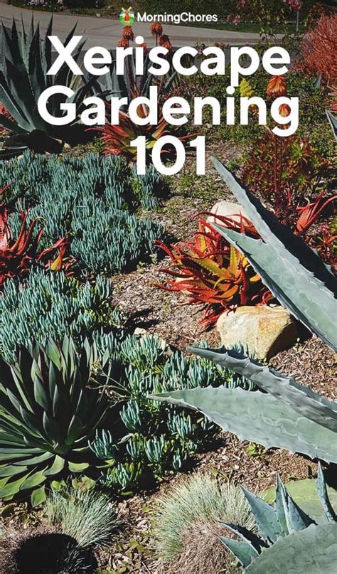 Xeriscape Garden How To Conserve Water With Xeriscaping Principles