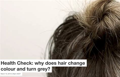 20 Why Does Hair Turn Grey Pics Onurcanaydogmus