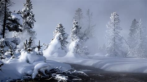 Free Download Winter Wallpaper 1 1920x1200 For Your Desktop Mobile