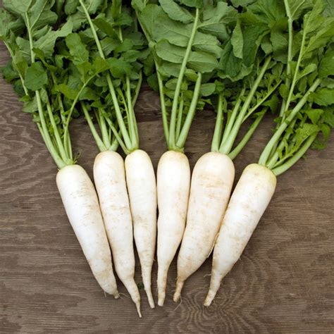 What Is Daikon Radish And What Is It Used For Alternative Medicine