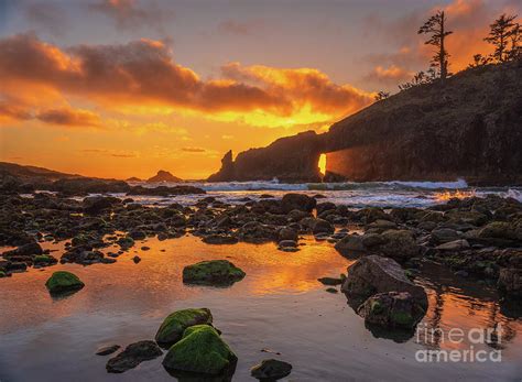 Washington State Photography Second Beach Sunset Sunrays Through The