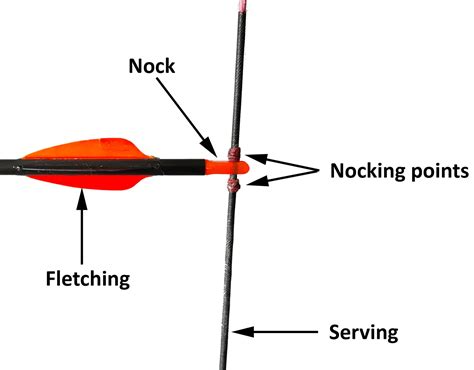 How To Nock An Arrow Follow These 5 Steps