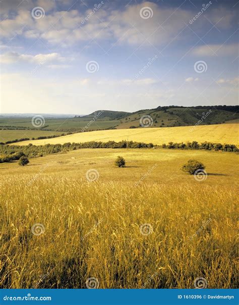 Rolling Countryside Stock Photo Image Of Farmland Hills 1610396