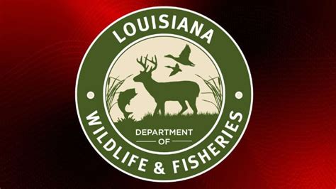 Wildlife And Fisheries Ldh Update Fish Consumption Advisories In Louisiana