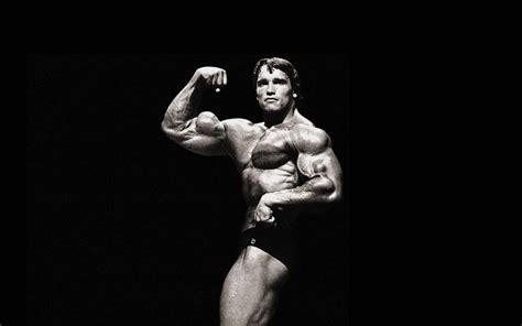 100 Arnold Schwarzenegger Wallpapers